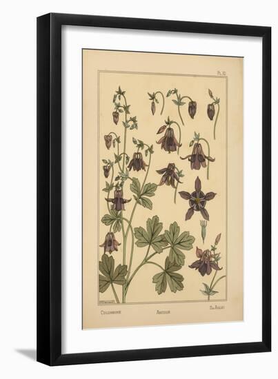 Columbine-null-Framed Giclee Print