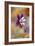 Columbine-Jacky Parker-Framed Giclee Print