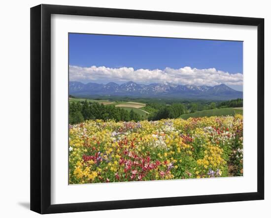 Columbines and Mt. Tokachi Range-null-Framed Photographic Print