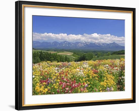 Columbines and Mt. Tokachi Range-null-Framed Photographic Print