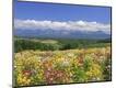 Premium Photographic Print