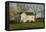 Columbus Farm House-Michael Budden-Framed Premier Image Canvas