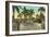 Columbus Park, Havana, Cuba-null-Framed Art Print