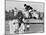 Columbus the Horse of Princess Anne Clearing Obstacale in Jumping Section of Windsor Horse Trials-null-Mounted Photographic Print