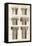 Column Capitals, 1777-null-Framed Premier Image Canvas