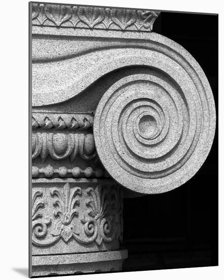 Column detail, U.S. Treasury Building, Washington, D.C. - Black and White Variant-Carol Highsmith-Mounted Art Print
