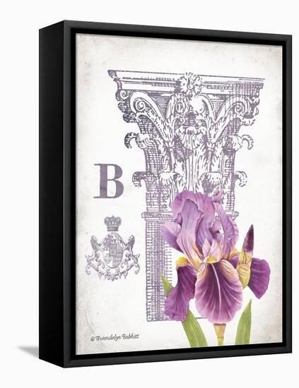 Column & Flower B-Gwendolyn Babbitt-Framed Stretched Canvas