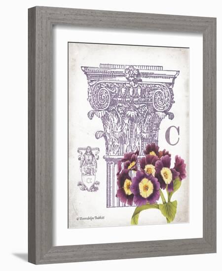 Column & Flower C-Gwendolyn Babbitt-Framed Art Print