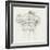 Column Schematic II-Ethan Harper-Framed Art Print