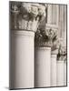 Column Sculptures of Doge's Palace-Tom Grill-Mounted Photographic Print