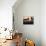 Columns in Public Building, Probably the Court of Justice, Baalbek, Lebanon, Middle East-Fred Friberg-Mounted Photographic Print displayed on a wall