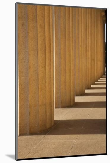 Columns of the Parthenon, Centennial Park, Nashville, Tennessee-Joseph Sohm-Mounted Photographic Print