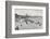 'Colwyn Bay - The Sands', 1895-Unknown-Framed Photographic Print