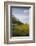 Colza Field in the Spring, Mecklenburg-Western Pomerania-Andrea Haase-Framed Photographic Print