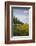 Colza Field in the Spring, Mecklenburg-Western Pomerania-Andrea Haase-Framed Photographic Print