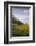 Colza Field in the Spring, Mecklenburg-Western Pomerania-Andrea Haase-Framed Photographic Print