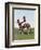 Comanche Brave, Fort Reno, Indian Territory-Frederic Remington-Framed Premium Giclee Print