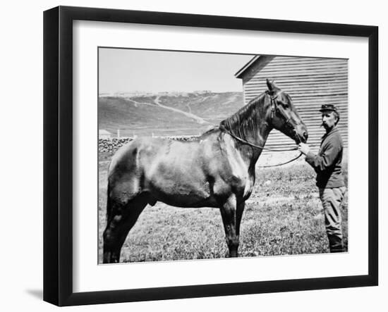 Photographic Print, , large