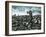 Comanche, the Lone Survivor of Custer's Last Stand-Ron Embleton-Framed Giclee Print