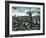 Comanche, the Lone Survivor of Custer's Last Stand-Ron Embleton-Framed Giclee Print