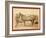 Comanche-John C. H. Grabill-Framed Giclee Print