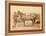 Comanche-John C. H. Grabill-Framed Premier Image Canvas