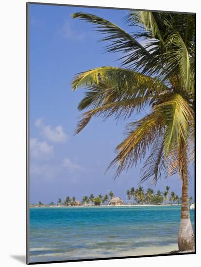 Comarca De Kuna Yala, San Blas Islands, Panama, Central America-Jane Sweeney-Mounted Photographic Print