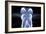 Comb Jelly-Alexander Semenov-Framed Photographic Print