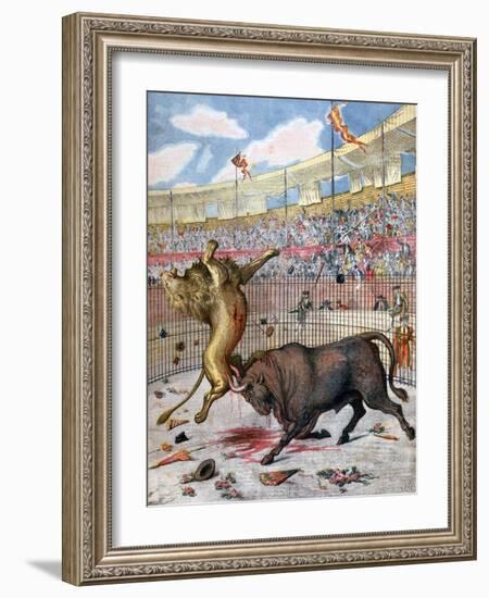 Combat Between a Lion and a Bull, Spain, 1894-null-Framed Giclee Print