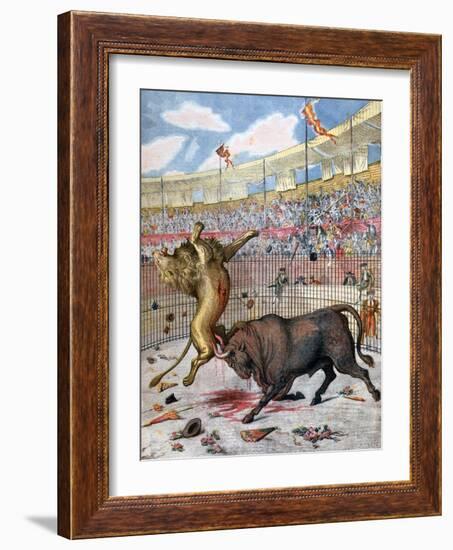 Combat Between a Lion and a Bull, Spain, 1894-null-Framed Giclee Print