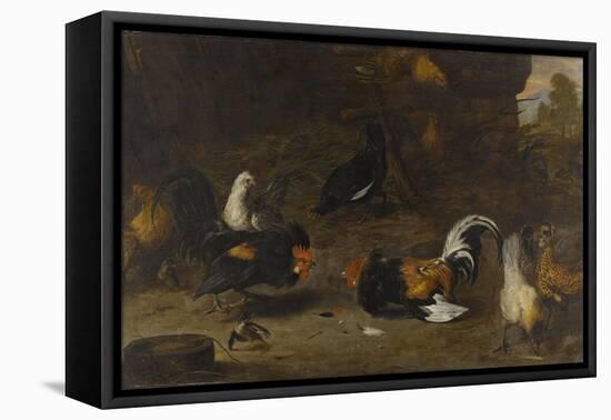 Combat de coqs-Melchior de Hondecoeter-Framed Premier Image Canvas