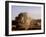 Combine Harvester Baling Hay, Seen from the Cotswolds Way Footpath, the Coltswolds, England-David Hughes-Framed Photographic Print