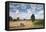 Combine Harvester Harvesting Oats (Avena Sativa), Haregill Lodge Farm, Ellingstring,Yorkshire, UK-Paul Harris-Framed Premier Image Canvas