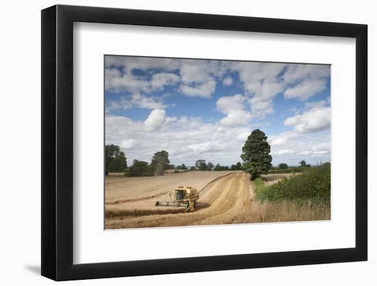 Combine Harvester Harvesting Oats (Avena Sativa), Haregill Lodge Farm, Ellingstring,Yorkshire, UK-Paul Harris-Framed Photographic Print