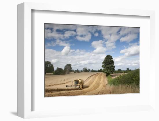 Combine Harvester Harvesting Oats (Avena Sativa), Haregill Lodge Farm, Ellingstring,Yorkshire, UK-Paul Harris-Framed Photographic Print