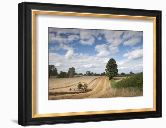 Combine Harvester Harvesting Oats (Avena Sativa), Haregill Lodge Farm, Ellingstring,Yorkshire, UK-Paul Harris-Framed Photographic Print