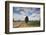 Combine Harvester Harvesting Oats, Ellingstring, North Yorkshire, England, UK, August-Paul Harris-Framed Photographic Print