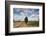 Combine Harvester Harvesting Oats, Ellingstring, North Yorkshire, England, UK, August-Paul Harris-Framed Photographic Print