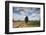 Combine Harvester Harvesting Oats, Ellingstring, North Yorkshire, England, UK, August-Paul Harris-Framed Photographic Print