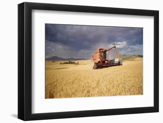 Combine harvester in a field, Palouse, Spokane County, Washington State, USA-Greg Probst-Framed Photographic Print