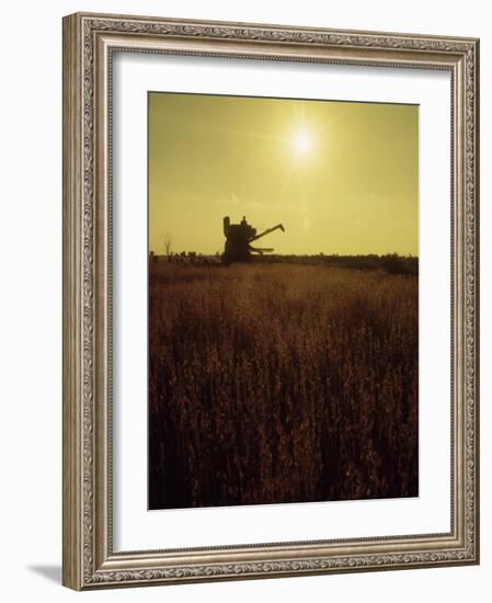 Combine Harvester in Field at Sunset-John Zimmerman-Framed Photographic Print