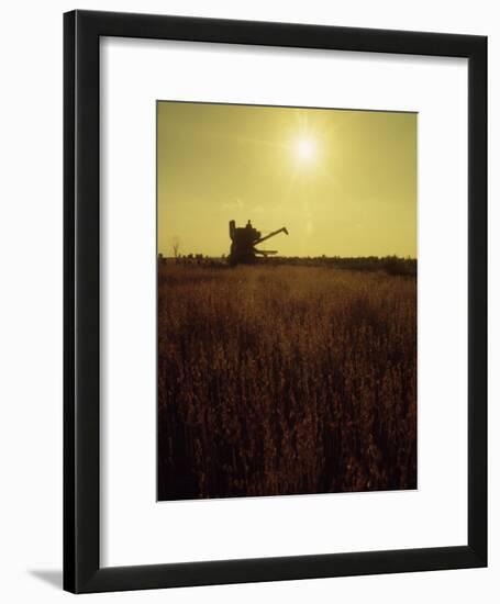 Combine Harvester in Field at Sunset-John Zimmerman-Framed Photographic Print