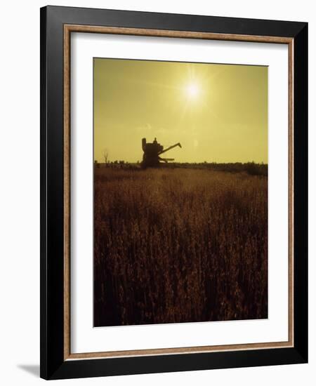 Combine Harvester in Field at Sunset-John Zimmerman-Framed Photographic Print