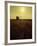 Combine Harvester in Field at Sunset-John Zimmerman-Framed Photographic Print