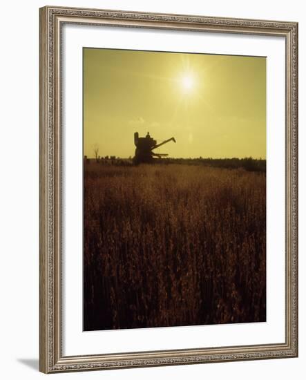 Combine Harvester in Field at Sunset-John Zimmerman-Framed Photographic Print