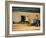 Combine Harvester Off-loading Grain-Jeremy Walker-Framed Photographic Print