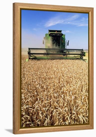 Combine Harvester Working In a Wheat Field-Jeremy Walker-Framed Premier Image Canvas