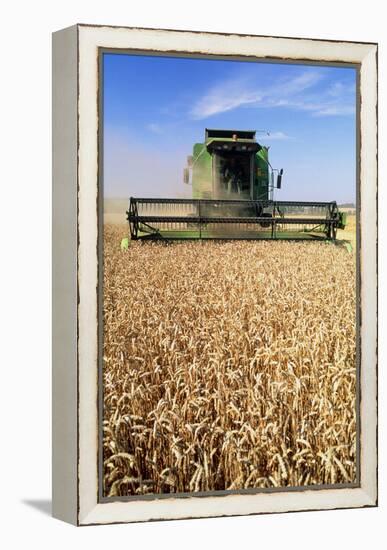 Combine Harvester Working In a Wheat Field-Jeremy Walker-Framed Premier Image Canvas