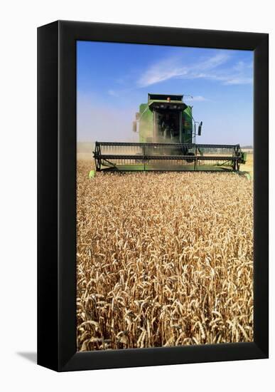 Combine Harvester Working In a Wheat Field-Jeremy Walker-Framed Premier Image Canvas