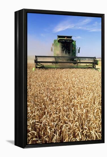 Combine Harvester Working In a Wheat Field-Jeremy Walker-Framed Premier Image Canvas